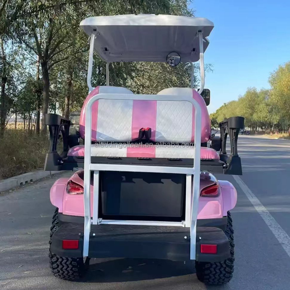 Pink Color Gasoline Petrol Golf Buggy Vehicles Power Glide Golf Car Lithium Battery Golf Cart With CE Certificate